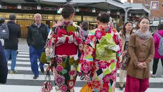 Japan Unveiled: A Culinary and Cultural Journey through Osaka and Kyoto