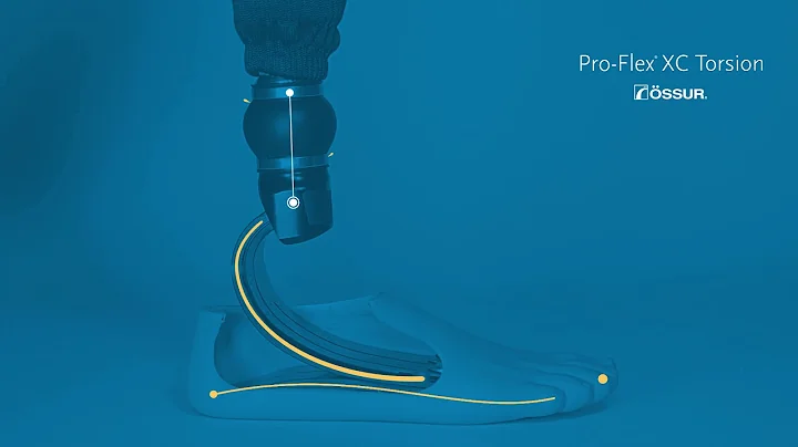 ProFlex XC Torsion - Italian