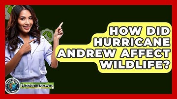 How Did Hurricane Andrew Affect Wildlife? - Earth Science Answers