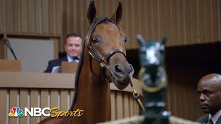 Champions born, bred and bid on in Kentucky | All In: Road to the Breeders