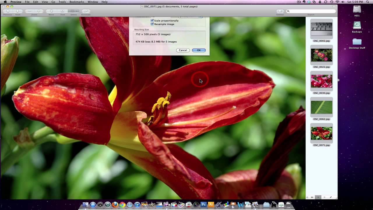 How to Resize Multiple Photos in Apple OS X