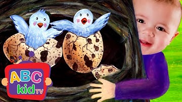 N is for Nest | Learn Letters | ABC Kid TV Nursery Rhymes & Kids Songs