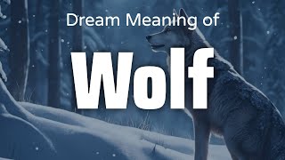 Wolf Dream Meaning Symbolism Interpretation Psychology