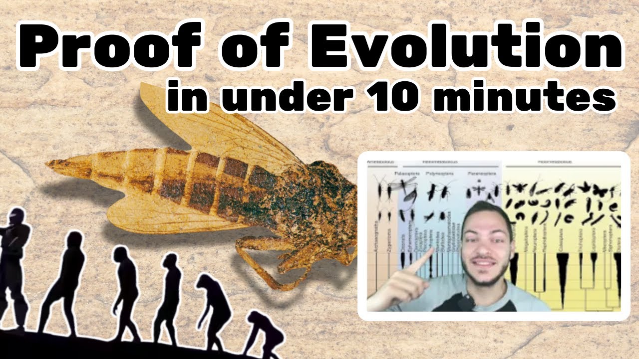Indisputable Evidence for Evolution in 5 Minutes - YouTube