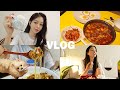 [일상 vlog] 새 카메라에 꾹꾹 담아본 먹일상 (땀땀 쌀국수/얼큰순두부찌개/김치차돌필라프/로제파스타/고추장찌개/소세지야채볶음/연어회/고추바사삭)