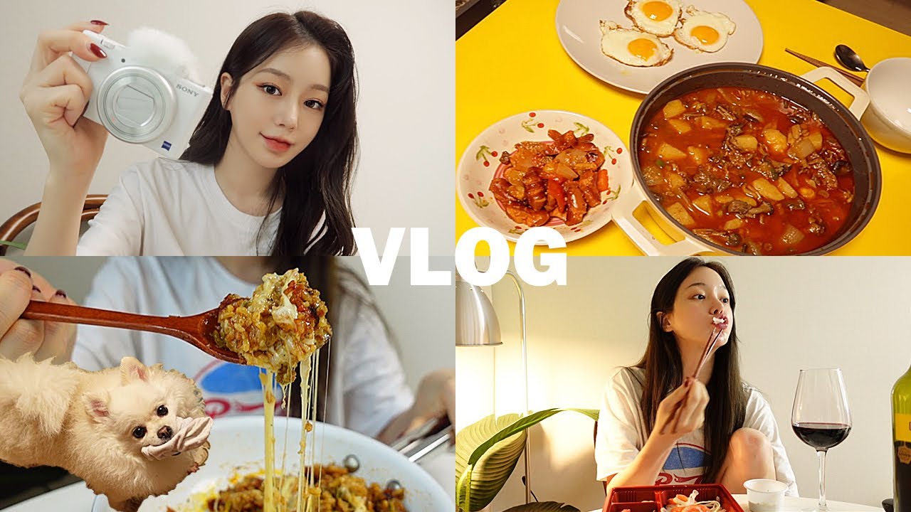 [일상 vlog] 새 카메라에 꾹꾹 담아본 먹일상 (땀땀 쌀국수/얼큰순두부찌개/김치차돌필라프/로제파스타/고추장찌개/소세지야채볶음/연어회/고추바사삭)