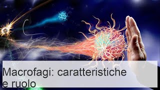 Cellule macrofagi: sviluppo, diffusione, funzioni e malattie