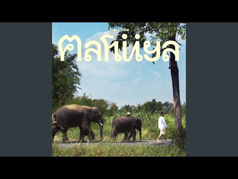 Music Video Preview
