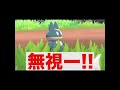 #Shorts ゴンベちゃんの華麗なる無視