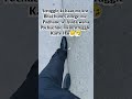 #collegelife #classattendance #funny #funnyshort #memes #studentlife #ytviral #shorts #strugglelife