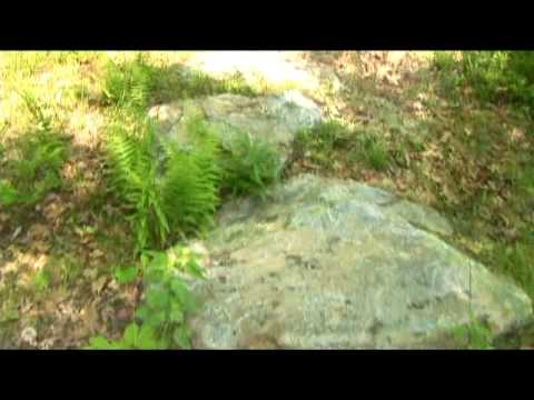 East Mountain Properties