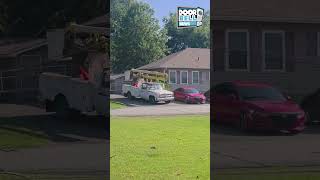 Truck Barely Misses Falling Tree