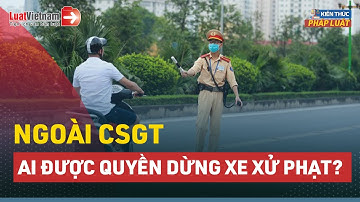 Ngoài CSGT, Ai Được Quyền Yêu Cầu Dừng Xe Xử Phạt? | LuatVietnam