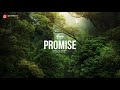 PROMISE Riddim (Reggae Roots Romantico Beat Instrumental) 2020 - Alann Ulises