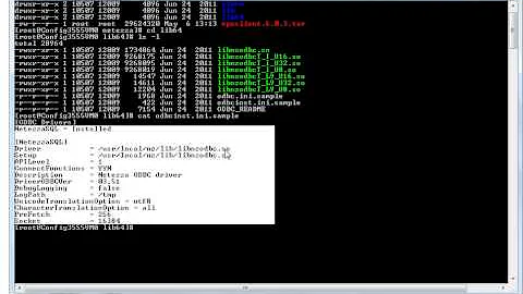 How to configure Netezza ODBC drivers on your Linux or Unix system.