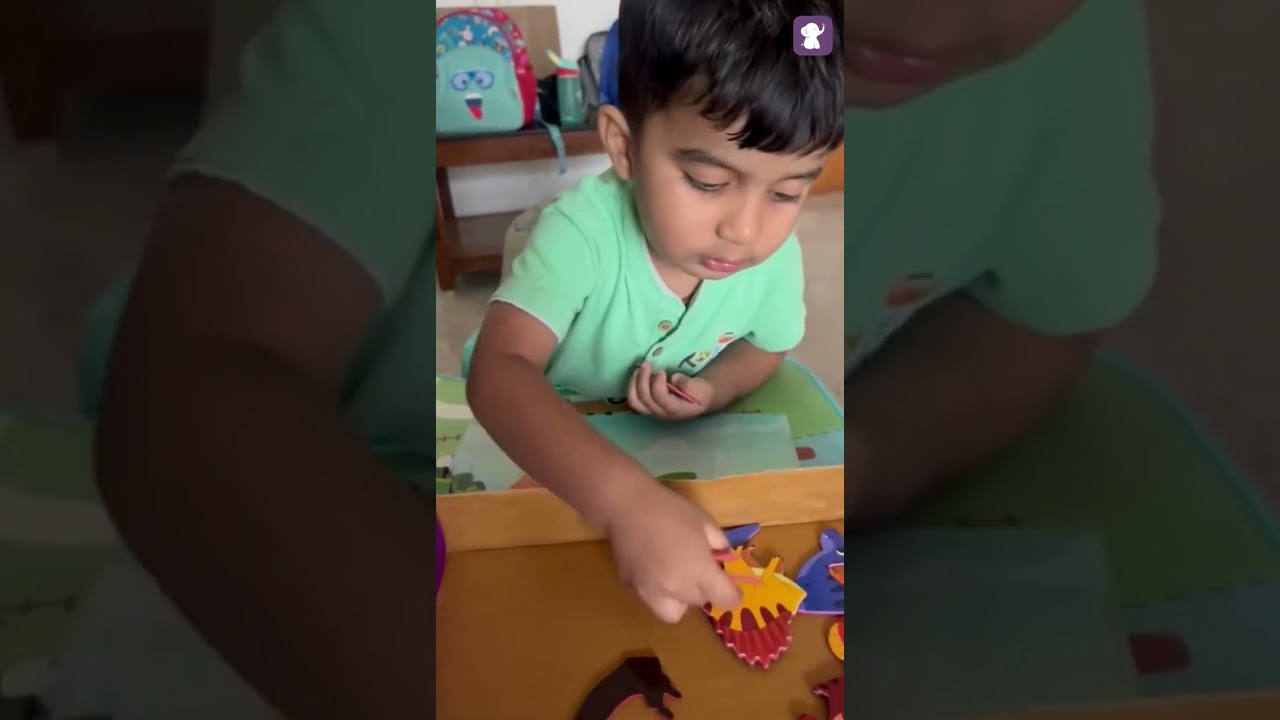 "Exploring the Elephant Toy Library: A World of Fun and Learning!" 