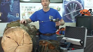 Tree Damage | Tree Care Basics | The Tree Care Industry Association