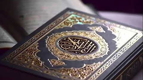 تلاوة من صلاة الفجر للشيخ / علي بن راشد الوصابي