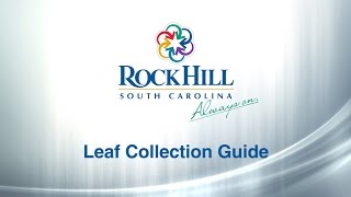 Leaf Collection Guide