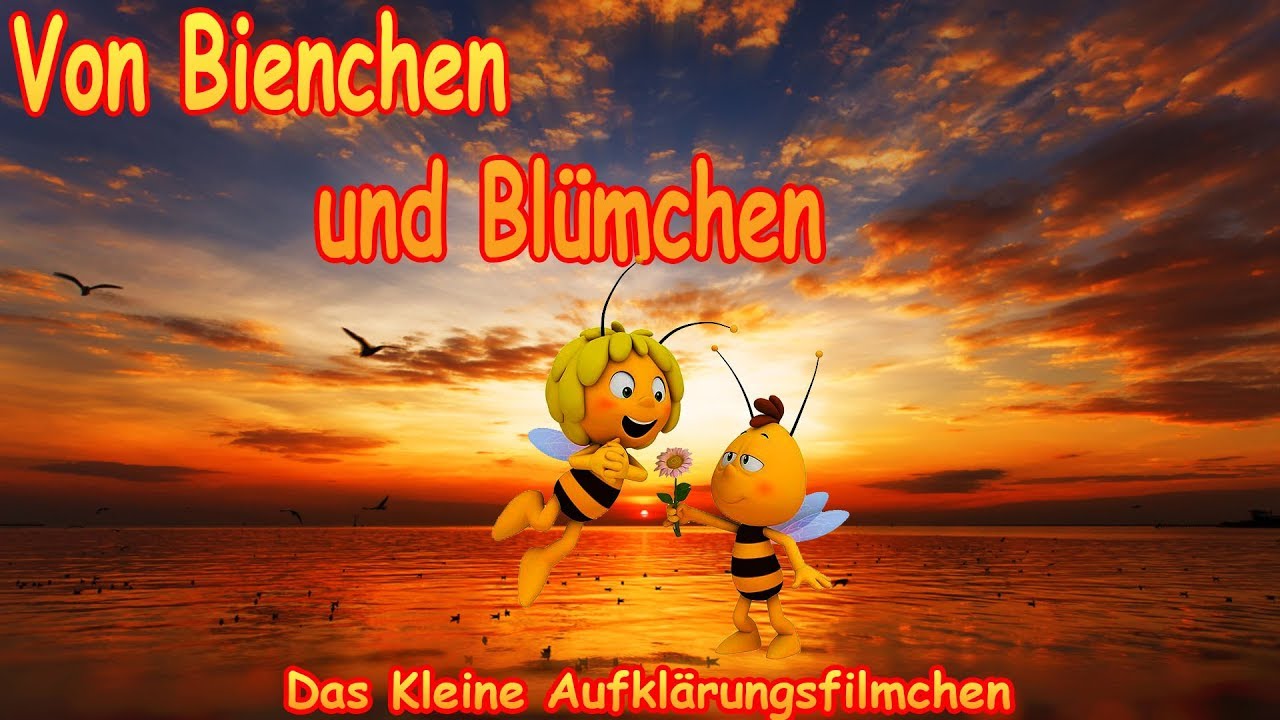 Aufklärungsfilm Aufklärungsfilm