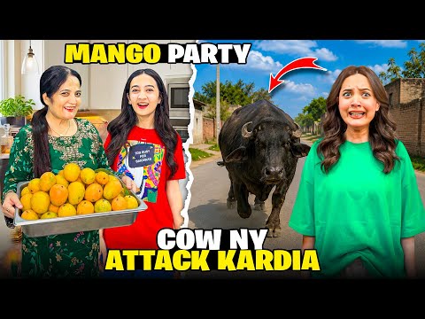 Cow Ny Hamla Kar Diya😱💔|Fridge Sy Chipkli Nikla Ayi😡😰|Paoun Ki Ungli Toot Gayi😭😓|Sistrology