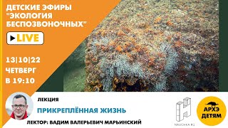 картинка: Детский эфир 