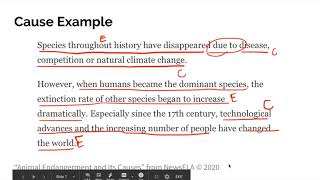 What is Cause/Effect Text Structure?