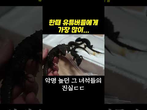 <strong>파충류</strong> 중 최고 찐따?