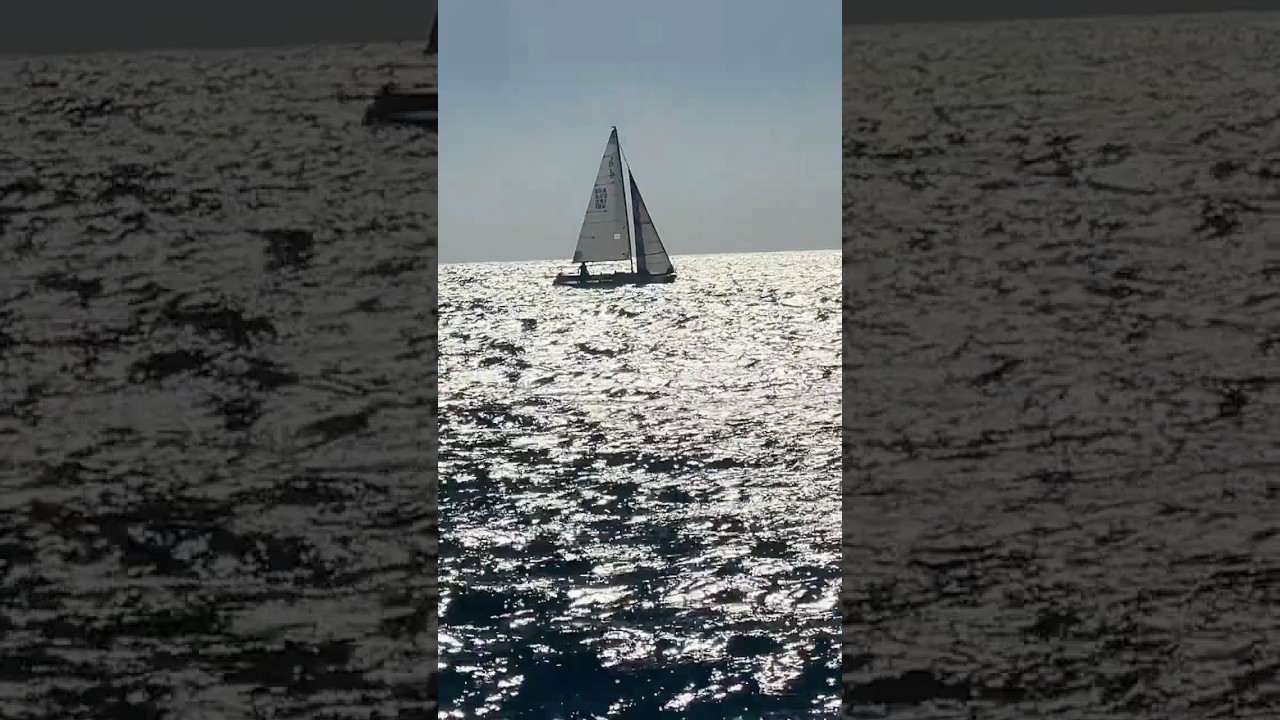 ⛵️SAILING⛵️