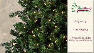 Fairmont Spruce Artificial Christmas Tree | Features & Setup