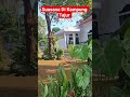 Suasana Kampung Tajur Purwakarta #desawisata #KampungTajur #lagusunda