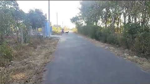 Thực tế lô đất Nghĩa Thành 600m2 sát cổng KCN Sonadezi Châu Đức - Bà rịa Vũng Tàu: SĐT 0826662888