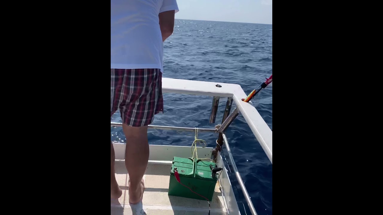 ロッド YAMAGA Blanks Sea Walk Tairubber 68ML 2023 New Model】SeaWalk Tairubber ~Thorough Explanation~ | YAMAGA