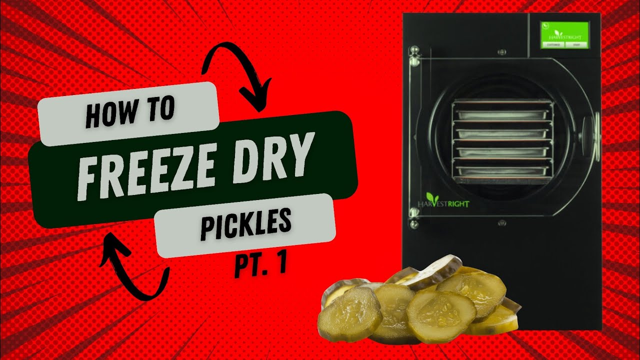 How To Freeze Dry Pickles Pt. 1 YouTube