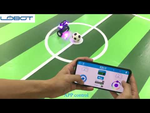LOBOT micro:bit Qbit