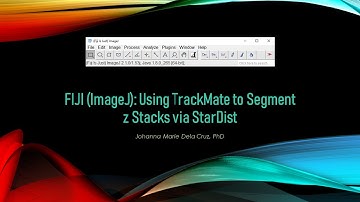 FIJI (ImageJ): Using TrackMate to Segment z Stacks via StarDist