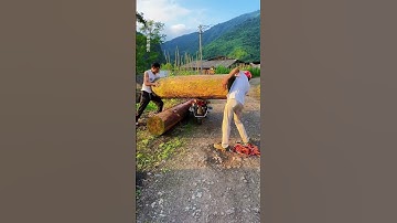 Dangerous behavior  please don