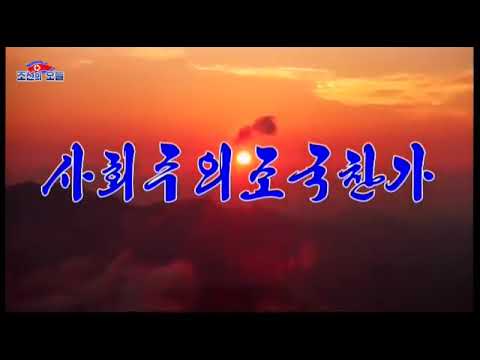 위대한 당을 따르는 청춘들의 노래