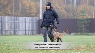 Exceligmos Zhara - obedience IGP I