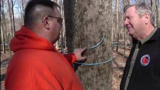 Malabar Farm State Park Maple Syrup