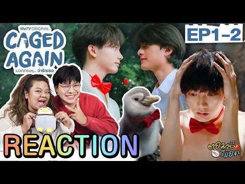 ตอมอรีแอค | Ep.1-2 Caged Again บอกกรงๆ...ว่ารักเธอ| Reaction