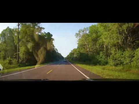 Driving from Lake City, Florida to Homerville, Georgia on US 441