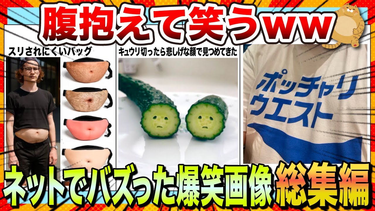 【🔥一気見スペシャル】ジワジワくるwwwネットでバズりまくったww爆笑画像＆動画集【2ch】【5ch】【ゆっくり解説】【コメ付き】【面白画像】【総集編】