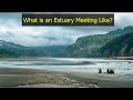 What is an inperson estuary meeting like sample meeting from chino conference 2023