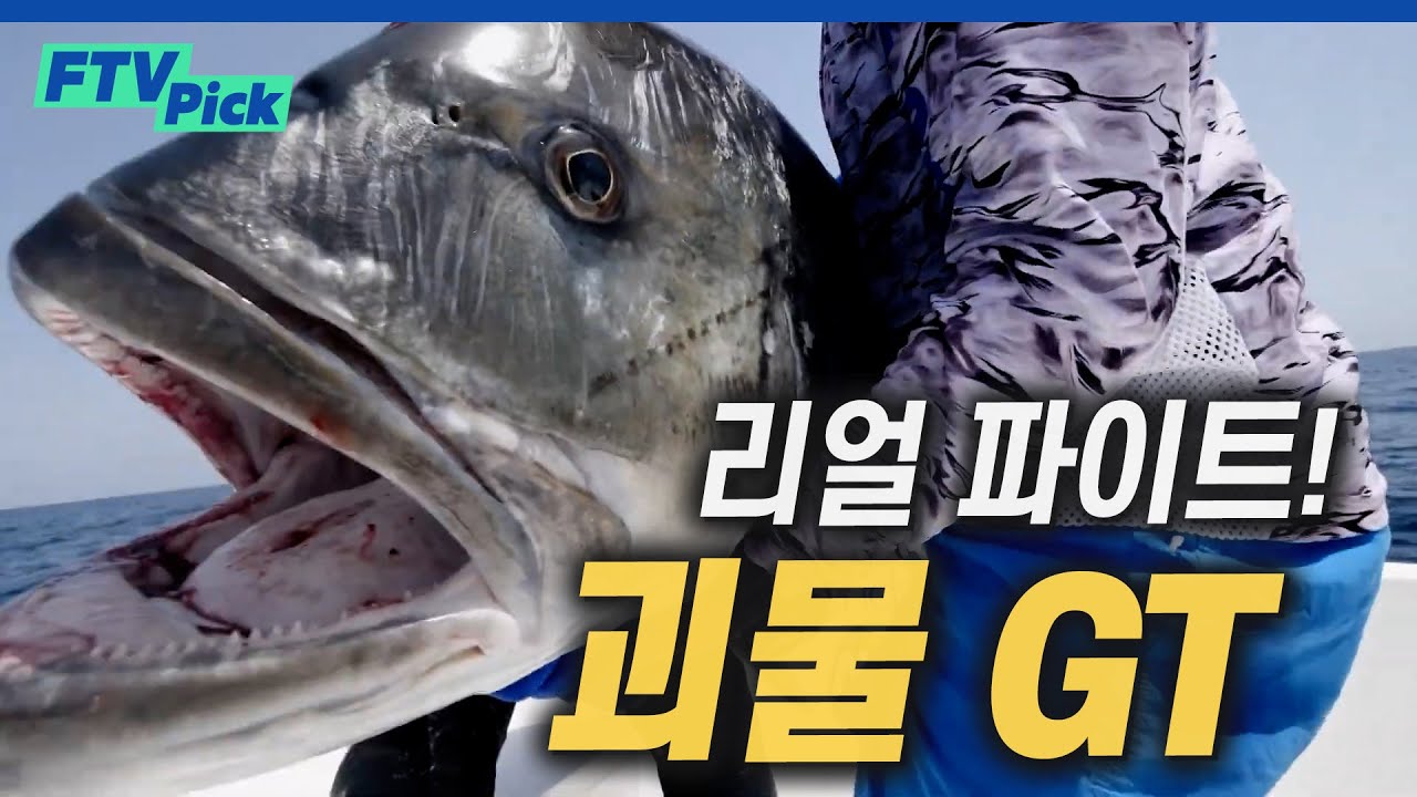 말도 안되는 힘! 1m가 훌쩍 넘는 50kg급 대물 GT 낚시! 랜딩의 짜릿한 순간! [FTVpick]