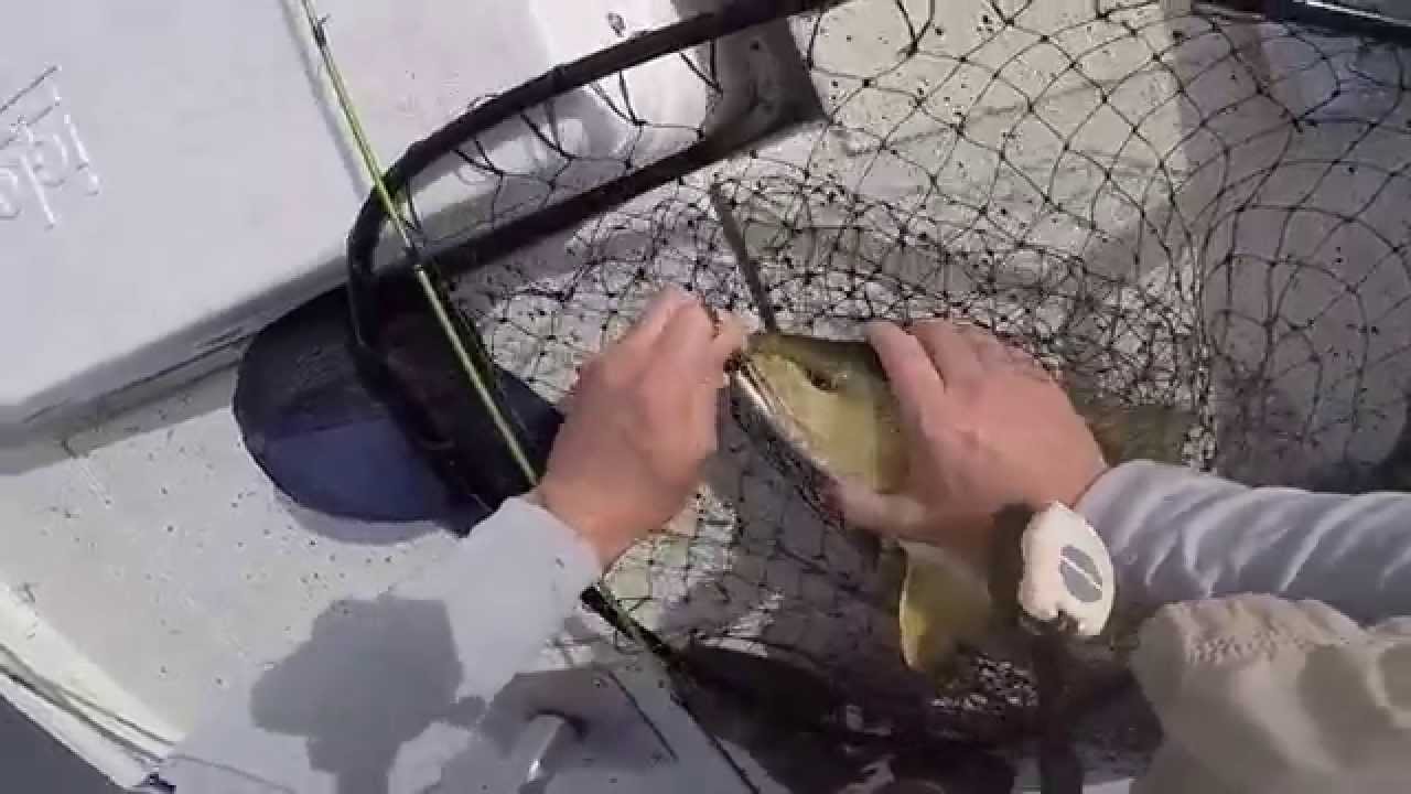 Catching Redfish in Raccourci Bay Dularge, LA.. Salt Strong Redfish!