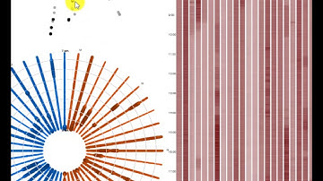 Traffic Data Visualization