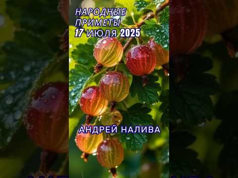 17 июля народные приметы. Приметы на каждый день. Именины 17 июля.