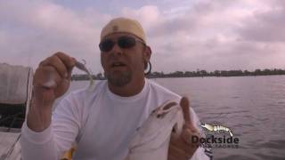 Matrix Shad
