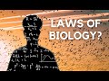 Is Life Truly Mathematical? Exploring the Connection Between Biology and Math 🔢
